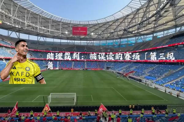 助理裁判:被误读的赛场「第三视角」
