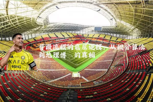 晋级流程的底层逻辑:从积分算法到地理博弈的真相